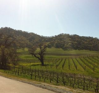 Clos LaChance Winery