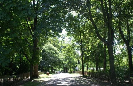 Parc de L'ile Saint Germain