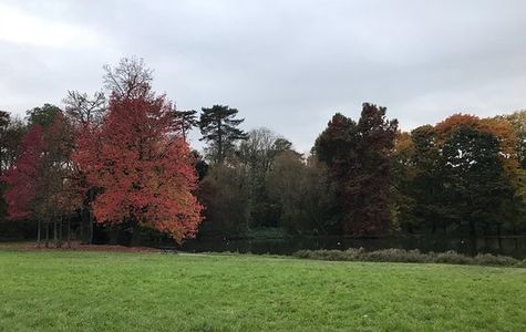 Parc Interdépartemental des Sports Paris Val-de-Marne 1