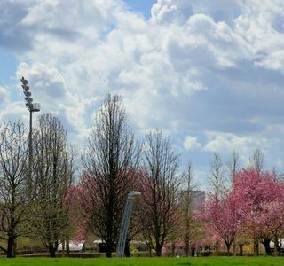 Parc Départemental des Hautes-Bruyères