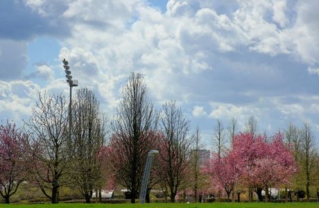 Parc Départemental des Hautes-Bruyères