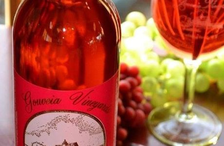 Gouveia Vineyards