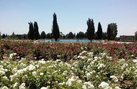 National Botanical Garden