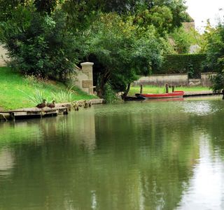 Les Oiseaux du Marais Poitevin