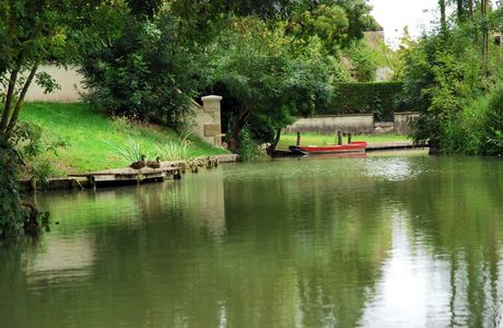Les Oiseaux du Marais Poitevin