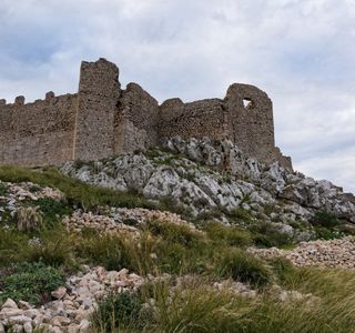 The Larissa and the Aspis