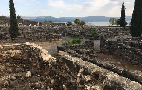Kfar Nahum (Capernaum) National Park 1