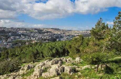 Mt. of Precipice Lookout Point
