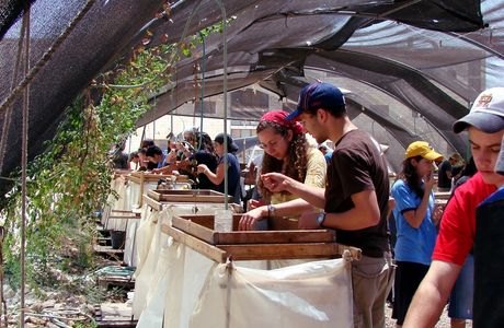 Temple Mount Sifting Project