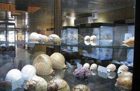 Isfahan Seashell Museum
