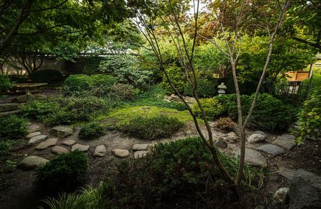 Roji Japanese Gardens