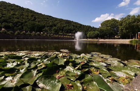 Parc de la Gare d'Eau