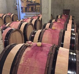 Wine Dream Concept
