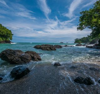 Costa Rican Wildlife Tours