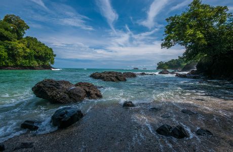 Costa Rican Wildlife Tours