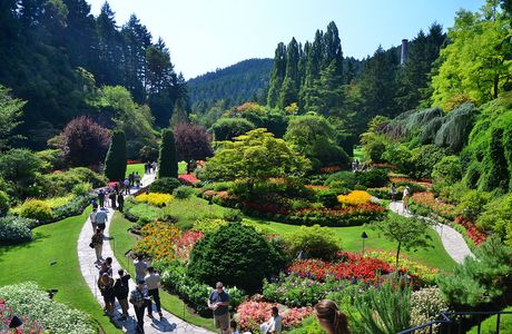 Botanical Garden Kotisina