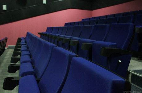 Chaika Cinema