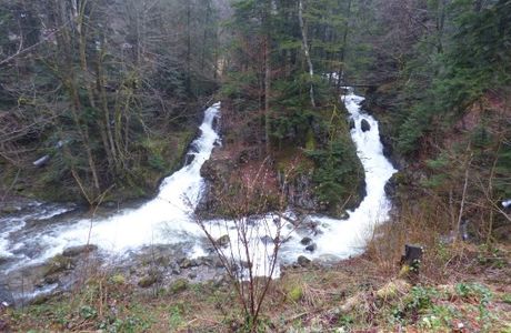 Sentier De La Goutte Des Saules