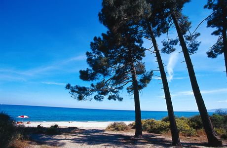 Plage de Pinia