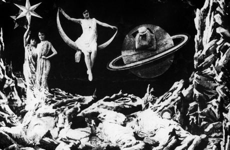 Chien hurlant à la lune