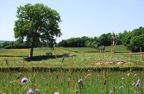 La Grange Agitée