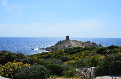 Torra d'Omigna