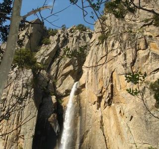 Piscia di Gallu
