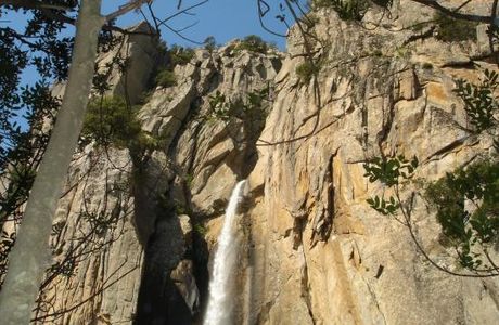 Piscia di Gallu