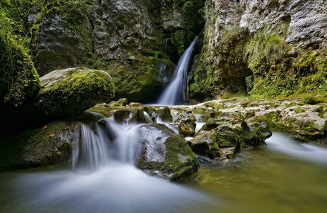 Tine De Conflens