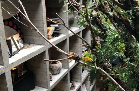 LELE BOOKS HOUSE