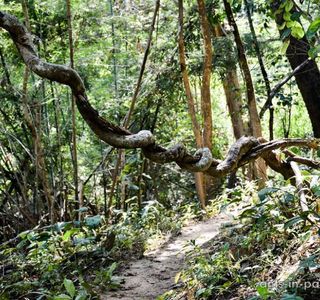 Salawin National Park
