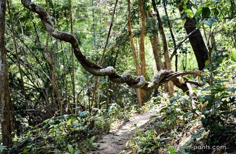 Salawin National Park