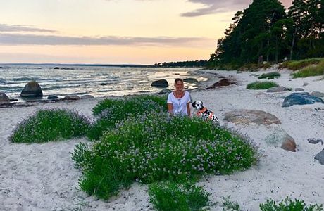 Snickarhaken Havsbad