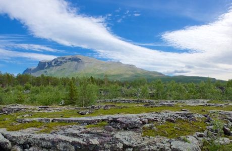 Vadvetsjåkka Nationalpark