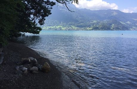 Weissenau-Naturschutzgebiet