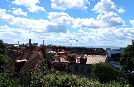 Vikingsbergsparken
