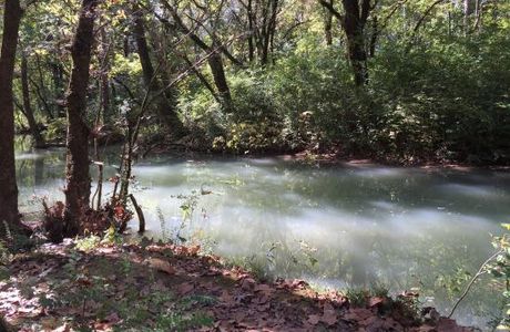 Buck Creek Trail