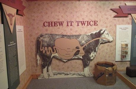 The MOOseum