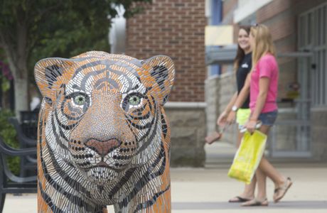 Tiger Town