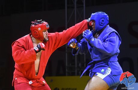 Sambo-in
