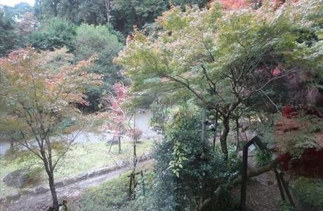 Kimura Art Museum
