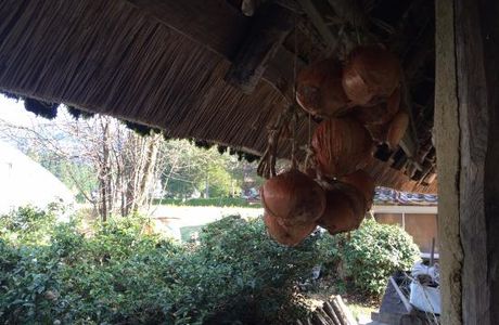 Watanabe Samurai House