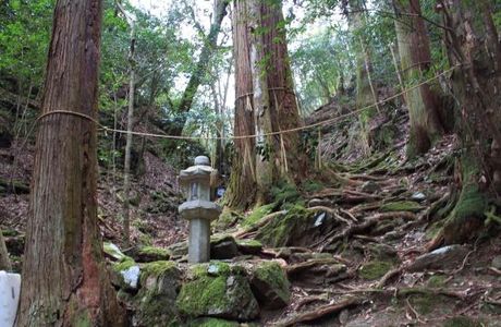 Nejiki Fudo Waterfall