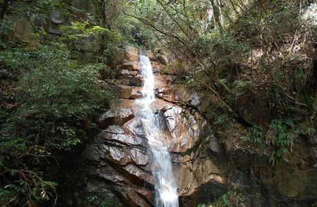 Koza Fall