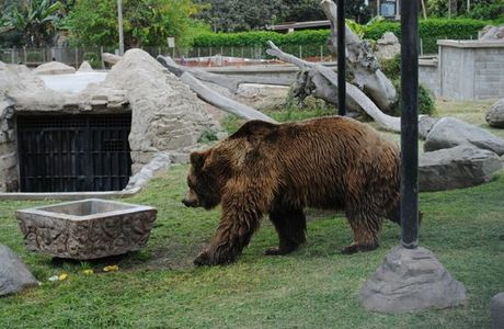 Oso Park