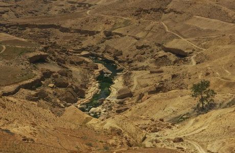 Wadi al-Mujib