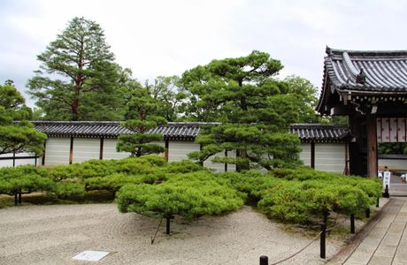 Ninna-ji Temple