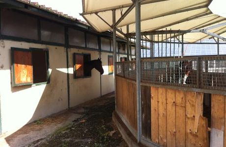 Centro Ippico il Torrione