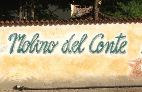 Azienda Agricola Molino del Conte