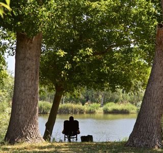 Parco Pubblico Gatteo - Il Gelso